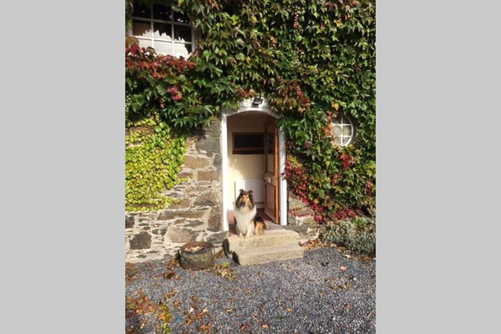 Ferienwohnung The Byre . Dromore  Exterior foto